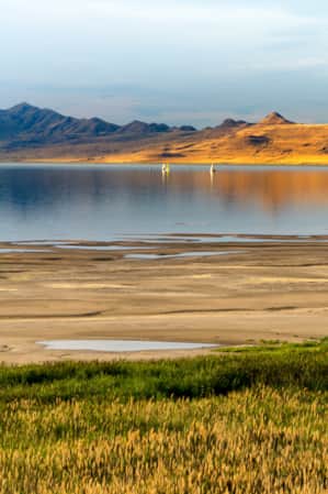 A lake with a sandy shore and green grass beside it, with small mountains visible in the backdrop across the water.