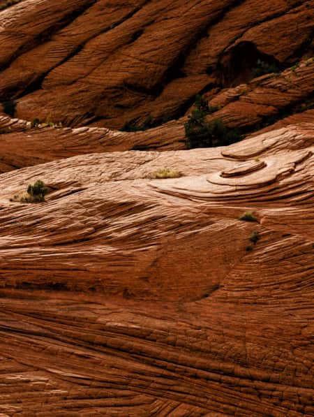Snow Canyon State Park