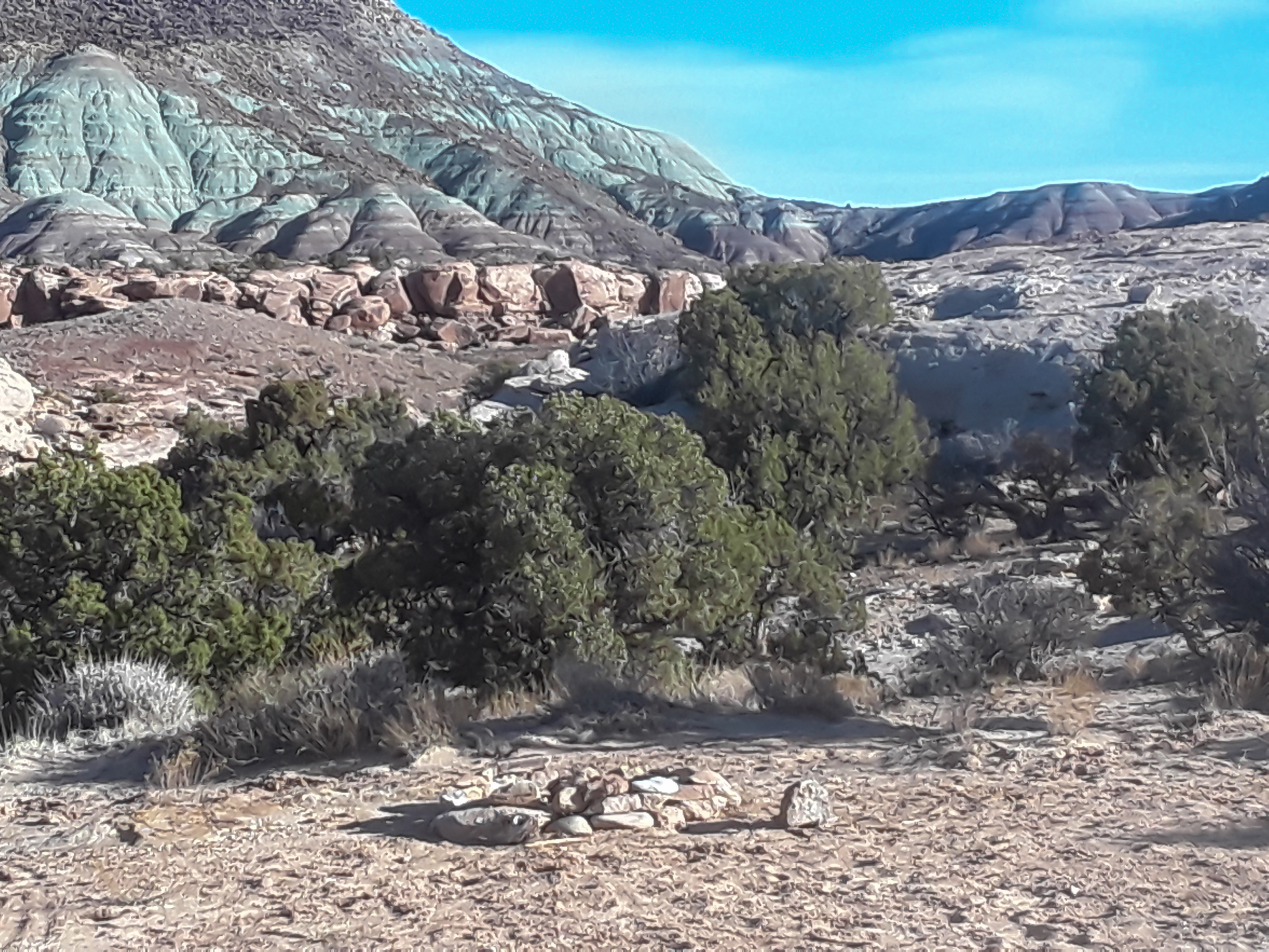 The Dalton Wells site has one of the largest dinosaur bone beds in North America.