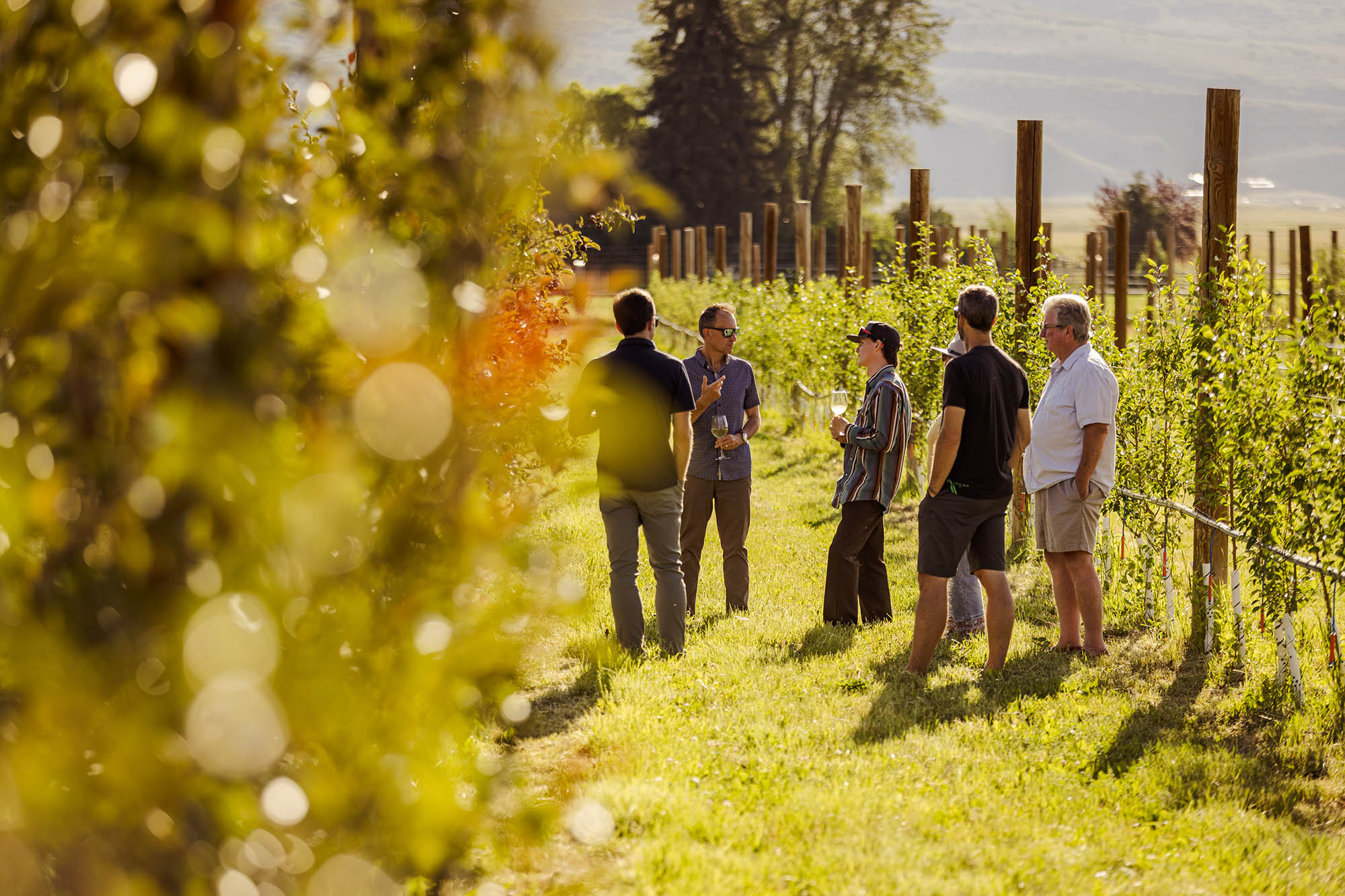 At a high elevation of 6,440 ft, the Dendric Estate combines traditional winemaking with classic cider apple both aromatic and rich.