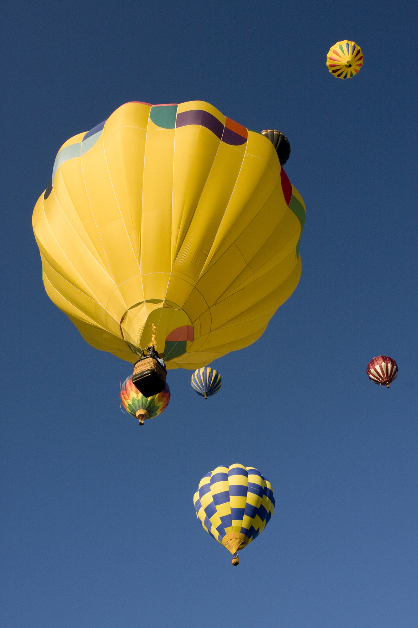 Gravity pulls like gossamer threads against the wicker and steel frame gondolas that take flight over a heavenly Eden in Northern Utah.