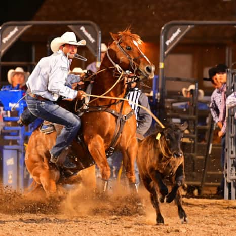 From lightning-fast barrel racing to skillful roping events, witness the power and precision of these equestrian athletes.