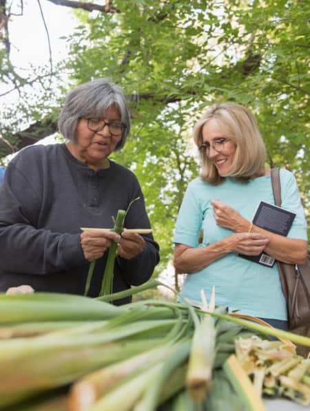 Two women talking while standing in front of a table with a long green plant on it.