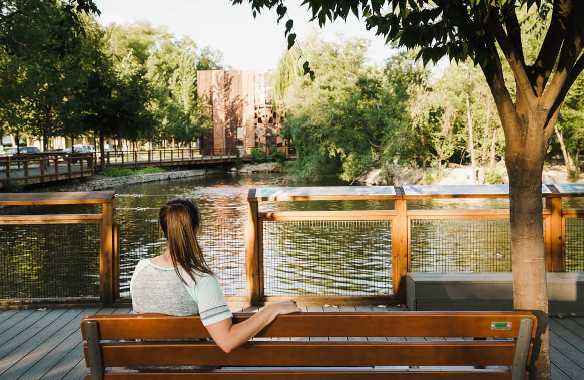 Overlooking the Pelican Pond in Tracy Aviary.