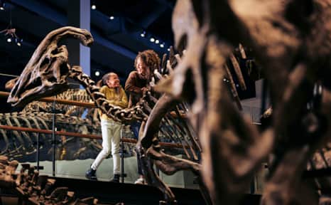Utah is known for its diverse and plentiful dinosaur species, and fossil digs uncover new species all the time.