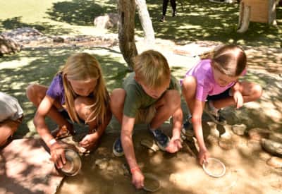 Try your hand at panning for gold.