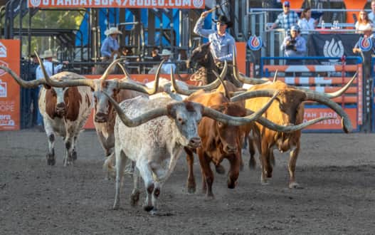 Held at the Utah State Fairpark, this event features thrilling bull riding, barrel racing and more, celebrating Utah's pioneer heritage.