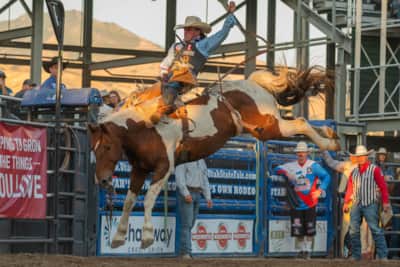 In bareback bronc riding, cowboys hold on with one hand, riding a bucking horse for eight seconds in a breathtaking show of balance and strength.