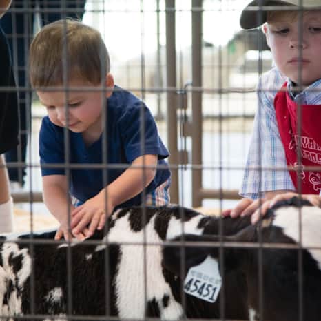 More than just adorable, Barnyard Friends is a heartwarming way to see the farm in action and spark curiosity about where our food and fiber come from.