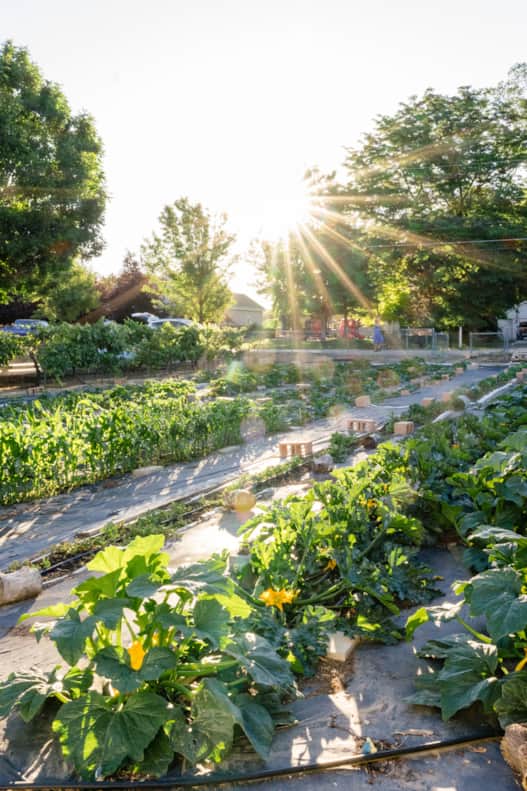 Salt Lake City planners created residential plots with deep backyards for gardens.