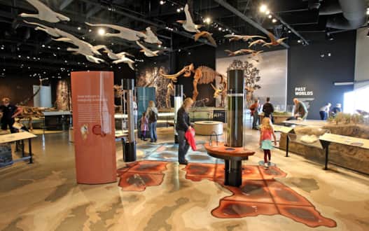 Spanning five floors and tucked along the foothills of the Wasatch Mountains, the Natural History Museum of Utah is also adjacent to the popular Red Butte Garden.
