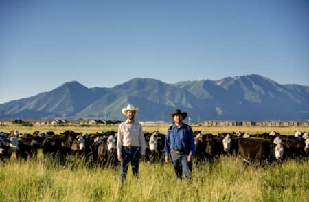 Two cowboys standing in an open grassy field with cows behind them and mountains in the distance.