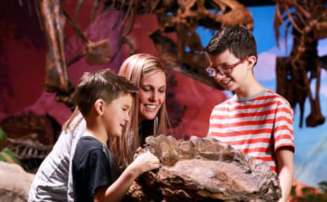 Museum of Ancient Life