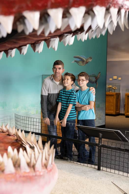 Experience the wonder of the Megalodon and other ancient creatures at the Museum of Ancient Life.