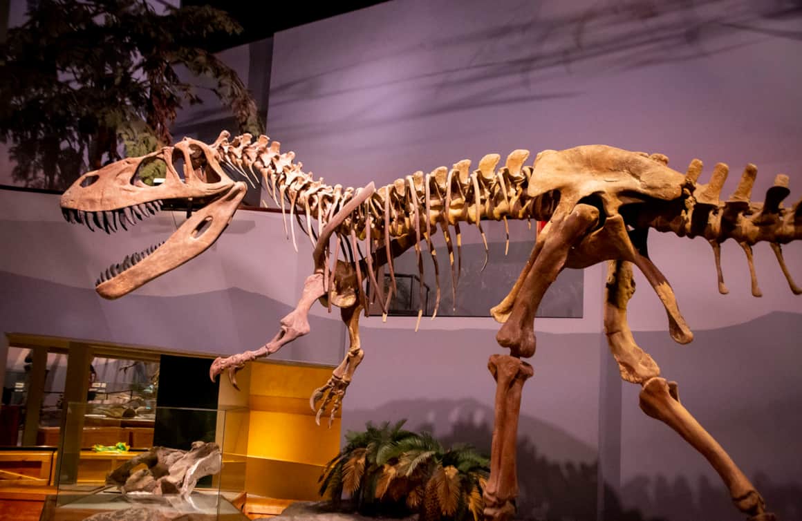 Museum of Ancient Life