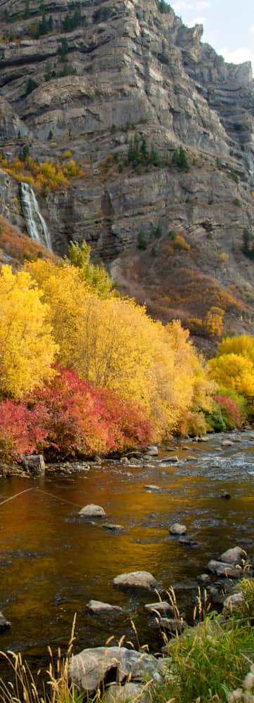 Feeder Stream — The Living River