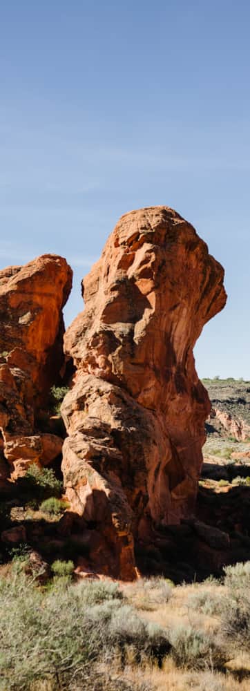 Red Cliffs Desert Reserve