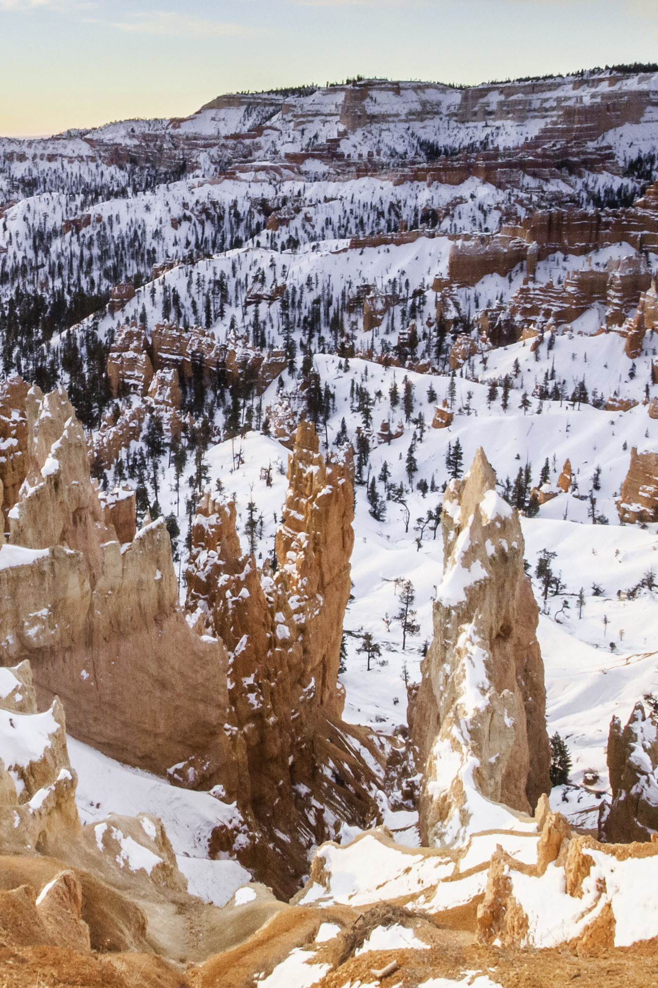 Let's Talk Utah: A Winter's Desert Perspective