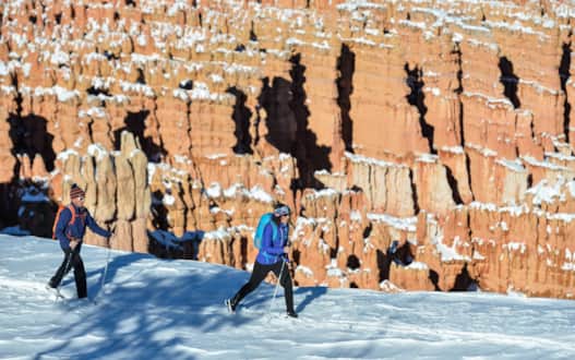web2000_brycewinter_uttvl20170128-0689