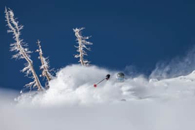 With an annual snowfall average of 548 inches, powder days are a way of life at Alta.
