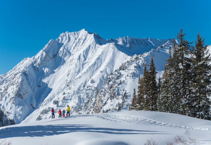 Alta Ski Area [Skiing, Lodging, Maps] Visit Utah
