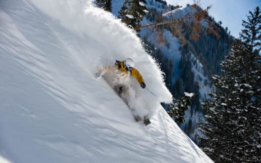 Nestled near the top of one of Utah's best canyons, Alta is a storied paradise for skiers.