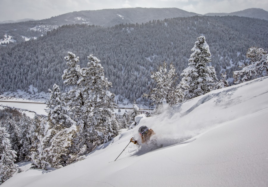 Beaver Mountain