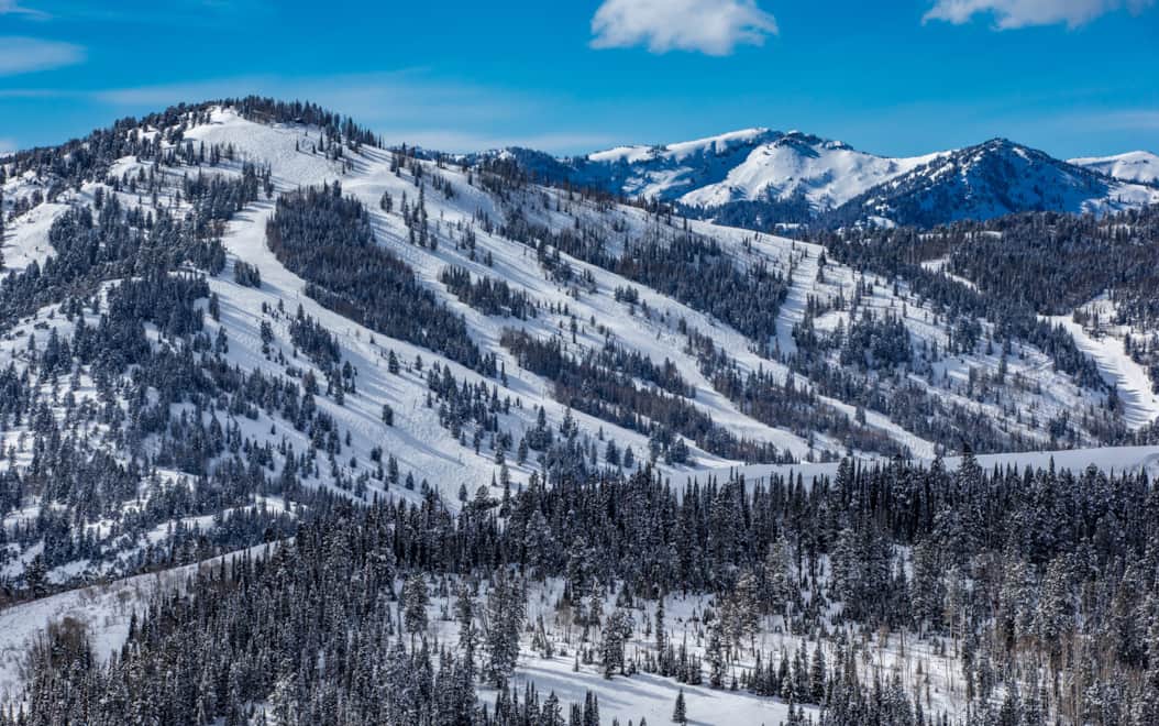 Beaver Mountain