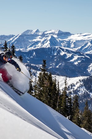 The Ski Week - A series of week-long boutique ski festivals staged