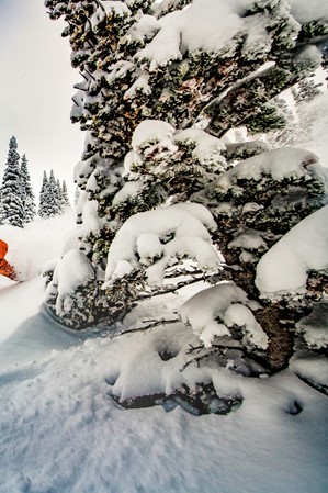 Snowbasin-Resort_Powder_Snowboarding-2_2023