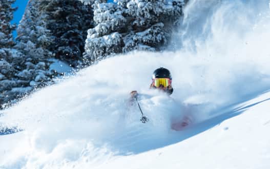 Snowbird Ski Resort