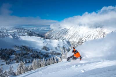 Midweek riding at Snowbird means more fresh powder and wide-open runs just for you.