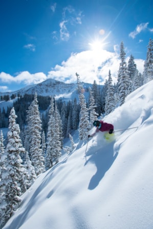 A skier making first tracks down a mountain surrounded by snow-covered trees.