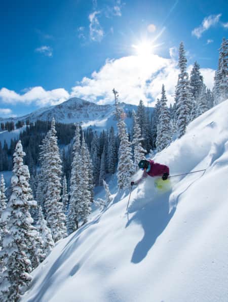 A skier making first tracks down a mountain surrounded by snow-covered trees.