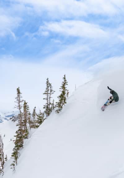 Snowbird