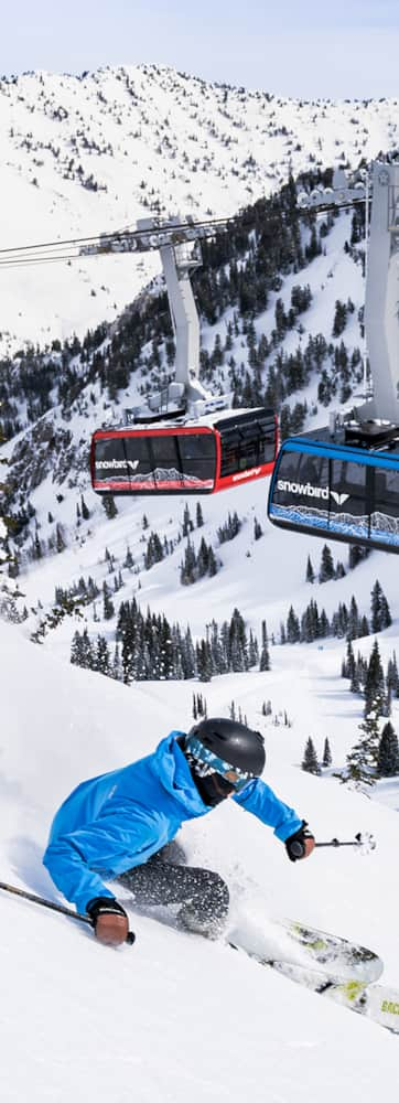 Snowbird_Skiing_Winter_Little-Cottonwood_Solberg-Otto_Courtesy-of-Snowbird_2023