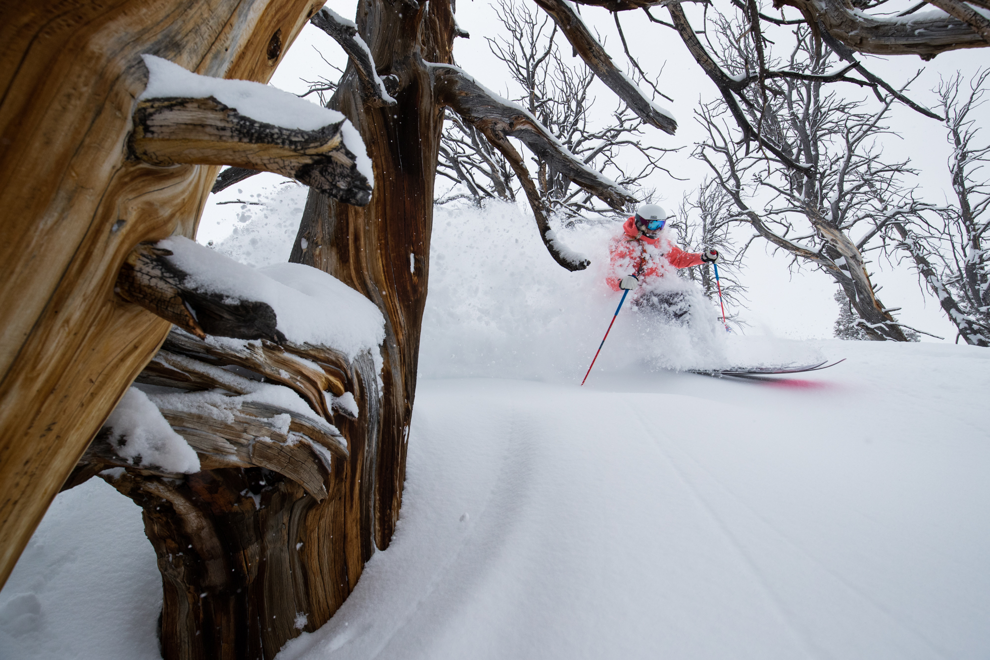 Solitude Mountain Resort