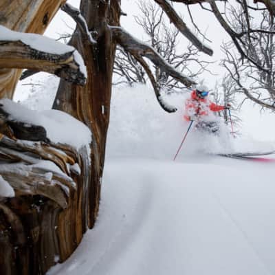 Solitude Mountain Resort