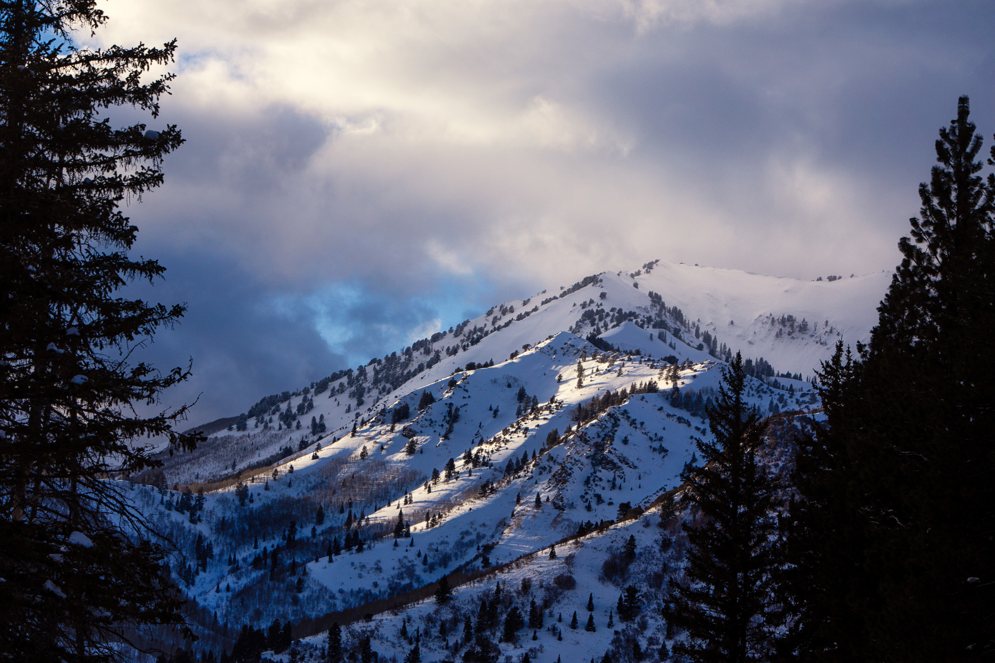 The resorts closest to Salt Lake City are located in Big and Little Cottonwood canyons.