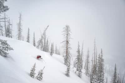 Rachael Burks skiing powder in the Uinta Mountains.