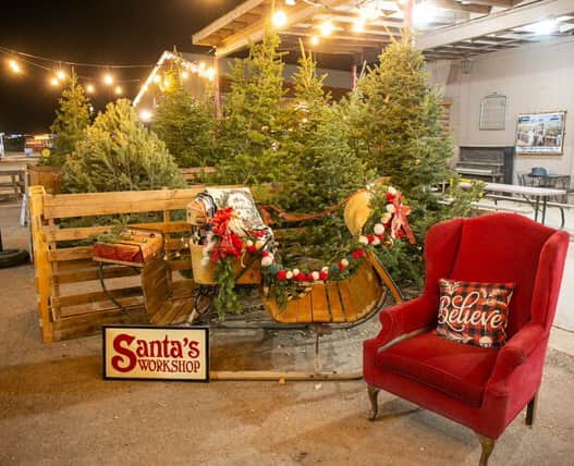At Staheli Family Farm, you can enjoy a holiday light drive-through and pick up a fresh-cut Christmas tree.