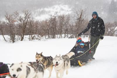 Deer-Valley_Sled-Dogs_Arctic-Rescue_Schirf-Mike