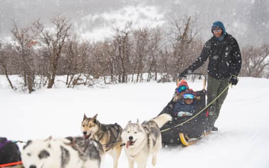 Dog sledding in Park City
