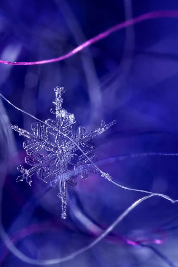 A snowflake on hat fibers – an example of a final image that resulted from focus stacking.