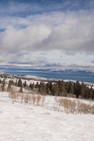 web2000_jimurquhart_bearlake_2c3a2971