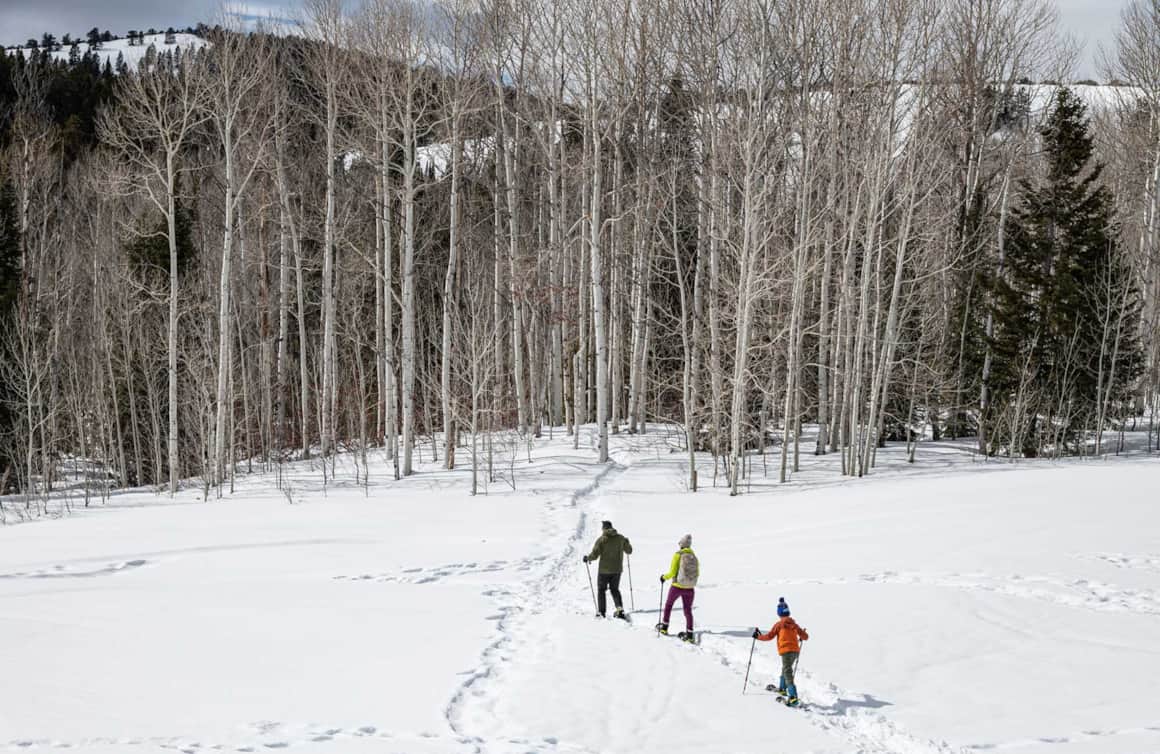 Long-time local Mark Smoot leads us on a winter snowshoe hike in the woods above Bear Lake.