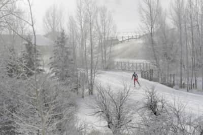 A snowy view of Soldier Hollow Nordic Center, which hosted the biathlon and cross-country ski events.