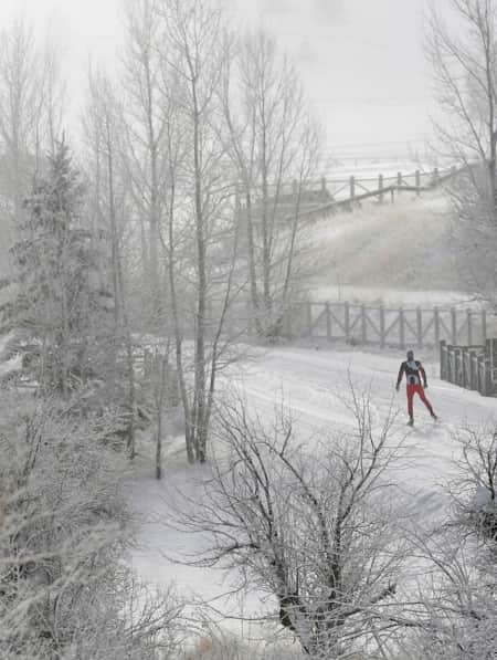 A ski run with snow-covered trees on each side and a person cross-country skiing on the trail.
