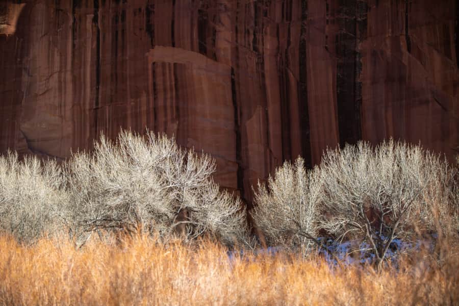 Capitol Reef National Park