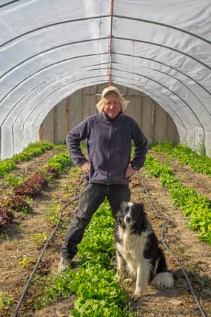 A man and his dog standing in a greenhouse filled with growing lettuce.